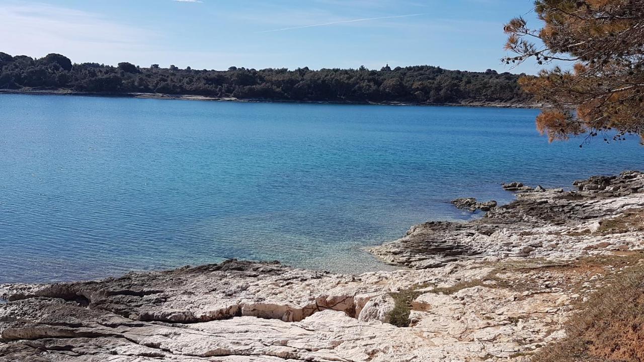 PUY Casa Matea - 90 M From The Sea, New Private Swimming Pool 아파트 외부 사진